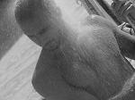 steev_goren