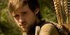 Robin_Hood_VD