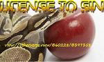 License_To_Sin