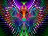 xx_MIRACLE_xx