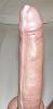 Alexcock19