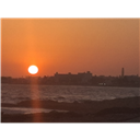 Summer_44SF