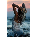 Salome_DL