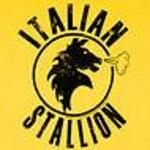 stallion3047