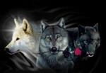 Stone_wolf