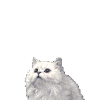 EgyptianKitty