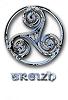 Breizhig