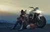 LoBo_STL_Devi