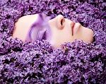 Lilac_Candy_Girl