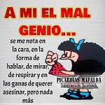 ANGELIZ_CSH