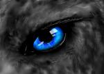 VincentNWolf_FUN