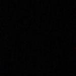 Bente_SLF