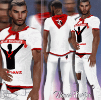 Lioner_Design