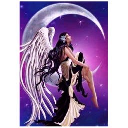StarryNites