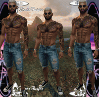 Lioner_Design