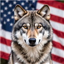 Frohsi_Wolfbl
