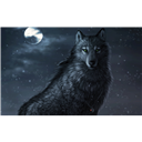 Black_Woelfin
