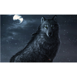 Black_Woelfin