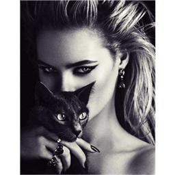 Blk_Cat