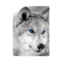 Kara_Shewolf