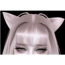 Lushes_LLMC