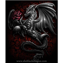 King_Dragon_H