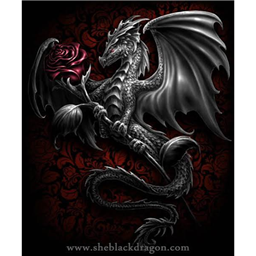 King_Dragon_HDR