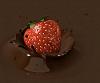 Scarlet_cream